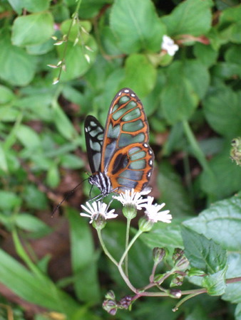 God’s amazing creation … awe inspiring nature