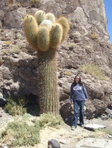 900 year old catus on catus island