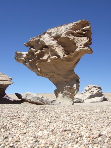 Sand sculpture on the salt flats